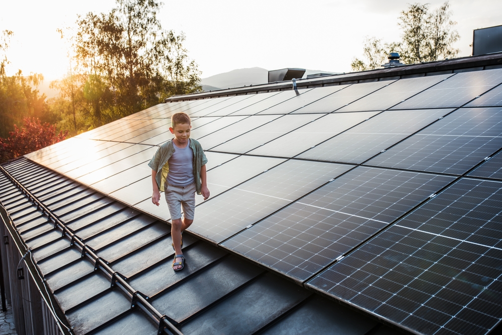 Jak inwestować w zieloną energię z głową?